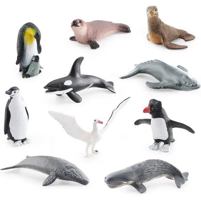 Animales de Antártica