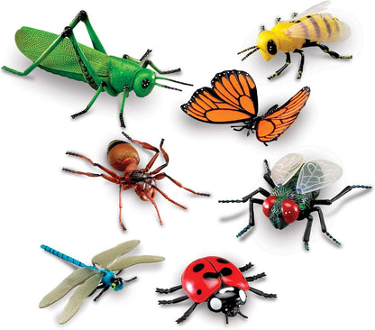 Réplicas de insectos jumbo con tarjetas similares (hogar)