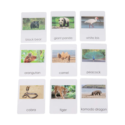 Animales de Asia
