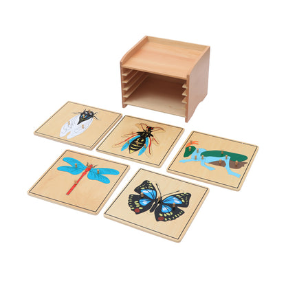 Gabinete de Rompecabezas de insectos
(5 rompecabezas incluidos)