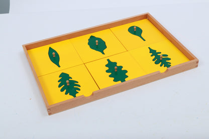 Gabinete botánico (resques de hojas)