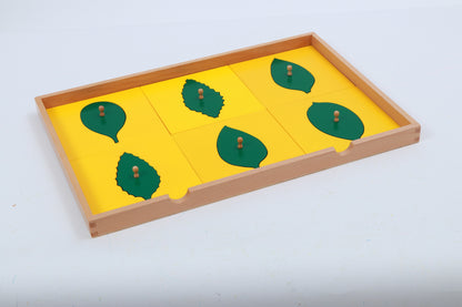 Gabinete botánico (resques de hojas)
