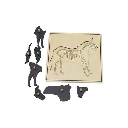 Rompecabezas del caballo y su esqueleto