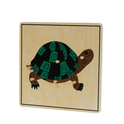 Rompecabezas de la tortuga