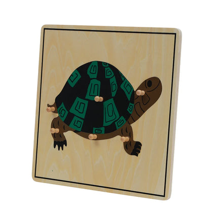 Rompecabezas de la tortuga