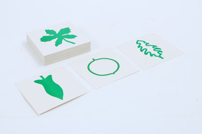 Tarjetas de hojas