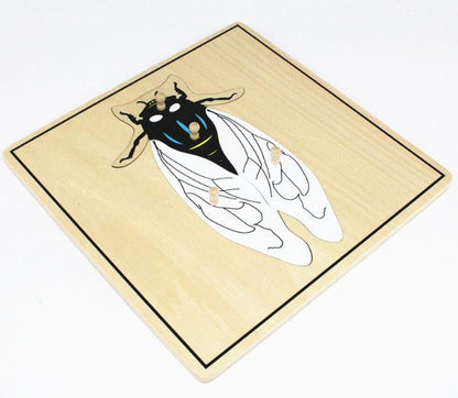 Rompecabezas de mosca