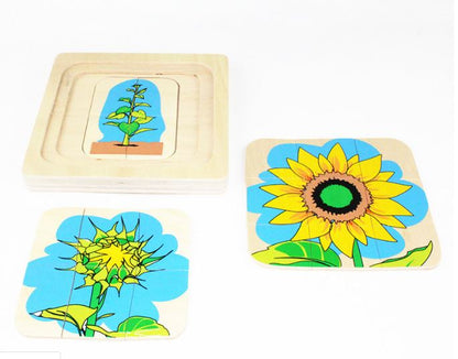 Rompecabezas del Ciclo de la vida del girasol