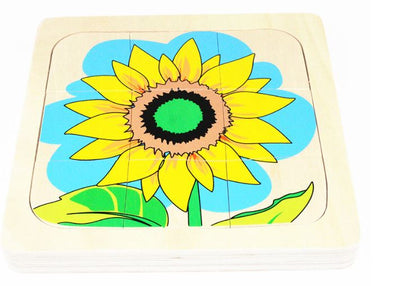 Rompecabezas del Ciclo de la vida del girasol