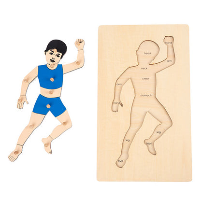 Partes del cuerpo de hombre