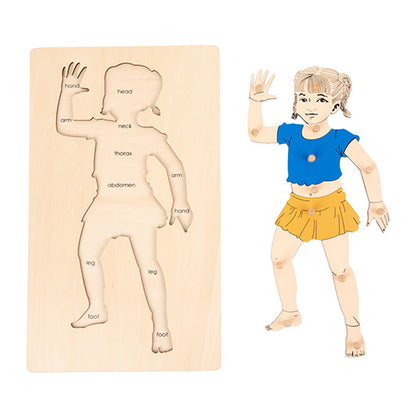 Partes del cuerpo de mujer
