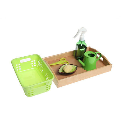 Limpiar y regar una planta (hogar)