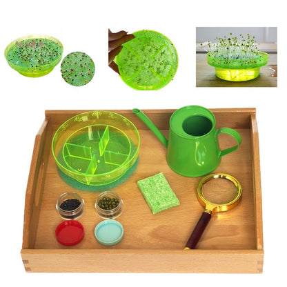 Set para plantar