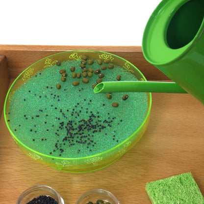 Set para plantar