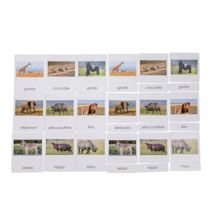 Animales de África