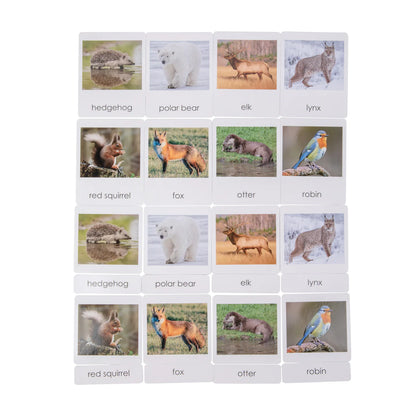 Animales de Europa