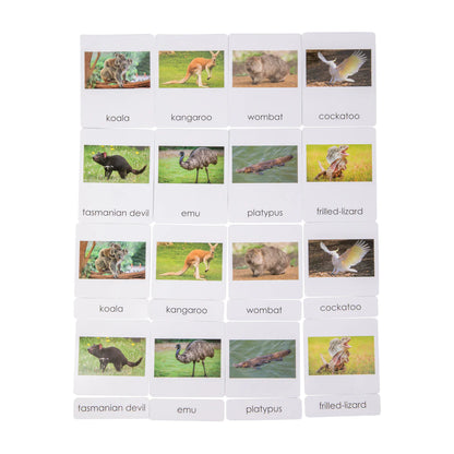 Animales de Australia