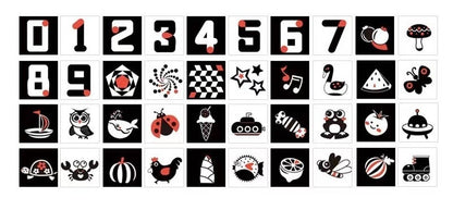 Set de tarjetas de contraste (escuela)
