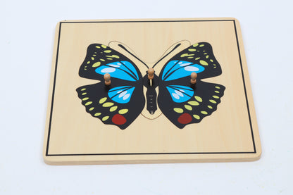 Rompecabezas de mariposa