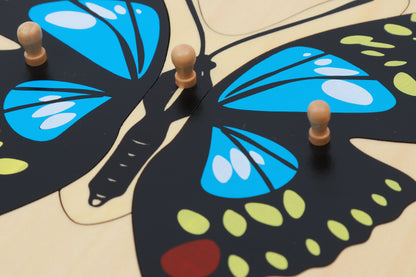 Rompecabezas de mariposa