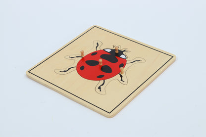 Gabinete de Rompecabezas de insectos
(5 rompecabezas incluidos)