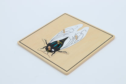 Gabinete de Rompecabezas de insectos
(5 rompecabezas incluidos)