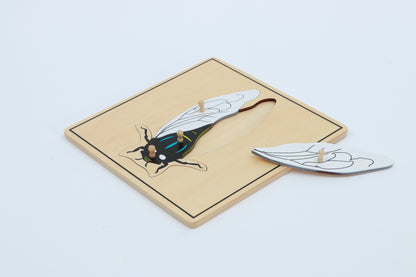 Rompecabezas de mosca