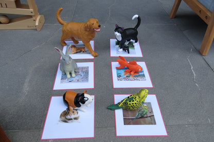 Réplicas de mascotas jumbo con tarjetas similares (hogar)