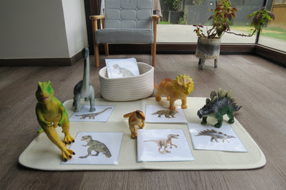 Réplicas de dinosaurios jumbo con tarjetas similares (hogar)