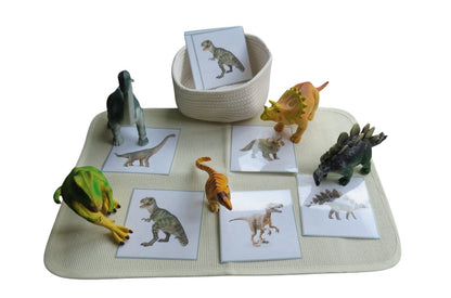 Réplicas de dinosaurios jumbo con tarjetas similares (hogar)
