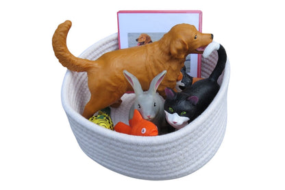 Réplicas de mascotas jumbo con tarjetas similares (hogar)