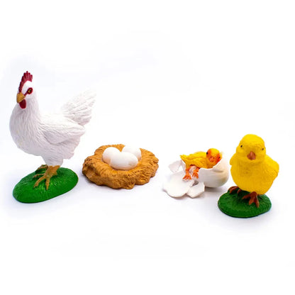 Objetos - Ciclo de la vida de la gallina con tarjetas en 3 partes