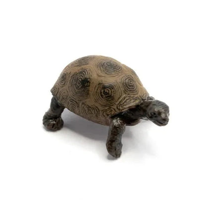 Objetos para el Ciclo de la vida - Tortuga
