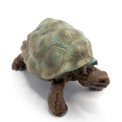 Objetos para el Ciclo de la vida - Tortuga