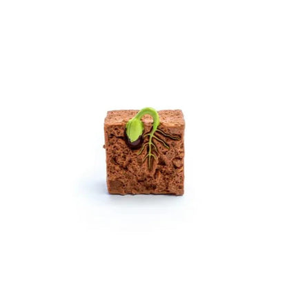 Objetos - Ciclo de la vida de la planta con tarjetas en 3 partes