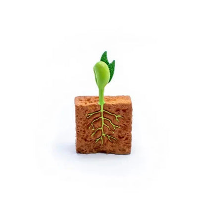 Objetos - Ciclo de la vida de la planta con tarjetas en 3 partes