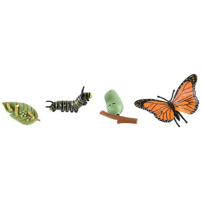Objetos - Ciclo de la vida de la mariposa con tarjetas en 3 partes